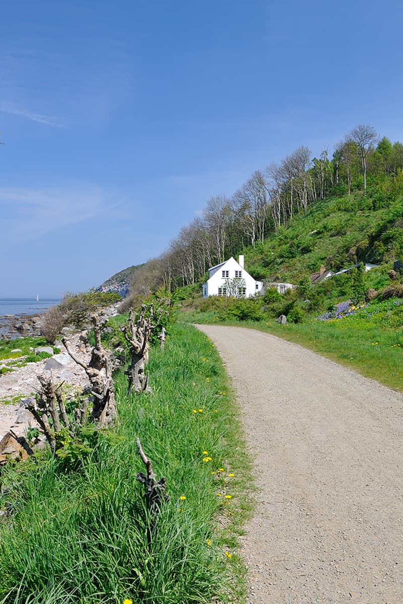 Helligpeder auf dem Pfad entlang der Küste nördlich von Hasle